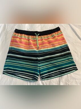 Men's Crane Multicolor Stripe Swim Trunks